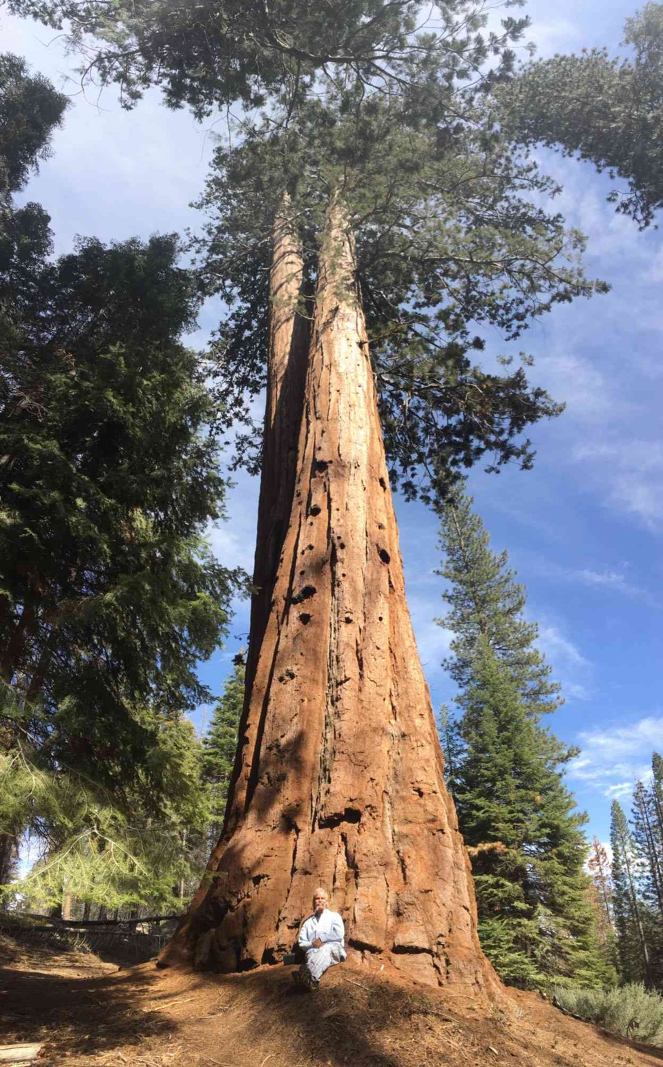 john epstein sequoia
