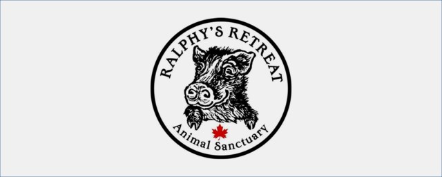 Ralphy's Retreat Animal Sanctuary: Orillia Charity and Not for Profit  Groups - Orillia News