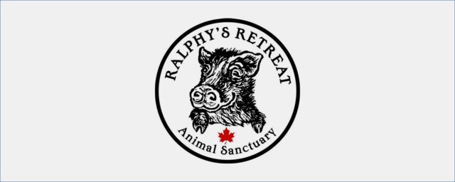 Ralphy's Retreat Animal Sanctuary: Orillia Charity and Not for Profit Groups - Orillia News Ralphy's Retreat Animal Sanctuary: Orillia Charity and Not for Profit Groups - Orillia News