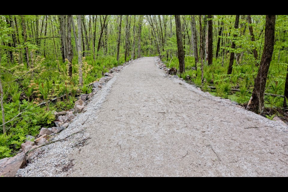 This is the "boardwalk" built by LIV Communities/Bosseini Living that cuts through green space at its property at the Serenity Bay development near the shore of Lake Couchiching.