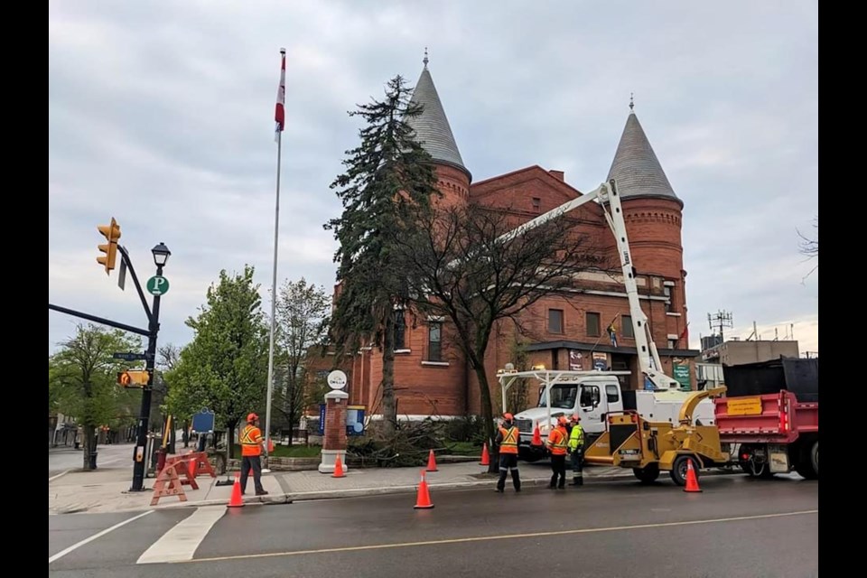 City of Orillia crews removed "Fred's Tree" from the Orillia Opera House property on Tuesday morning. 