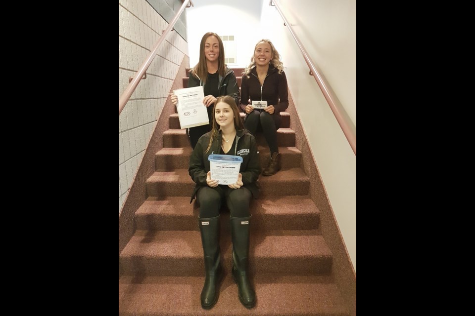 Police foundations students at Georgian College in Orillia have launched Operation SAVE to raise awareness about seatbelt use. Group members include Lexus Harper, back left, Taylor Dennison, back right, and Mckayla Cotey. Absent: Hannah Green. Supplied photo