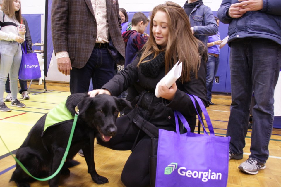 James, who is part of the Canine Ambassador Program through the Child and Youth Care program, greeted prospective student Dylan Fisher, 17, of Brooklin, at Saturday’s Georgian College open house. Mehreen Shahid/OrilliaMatters
