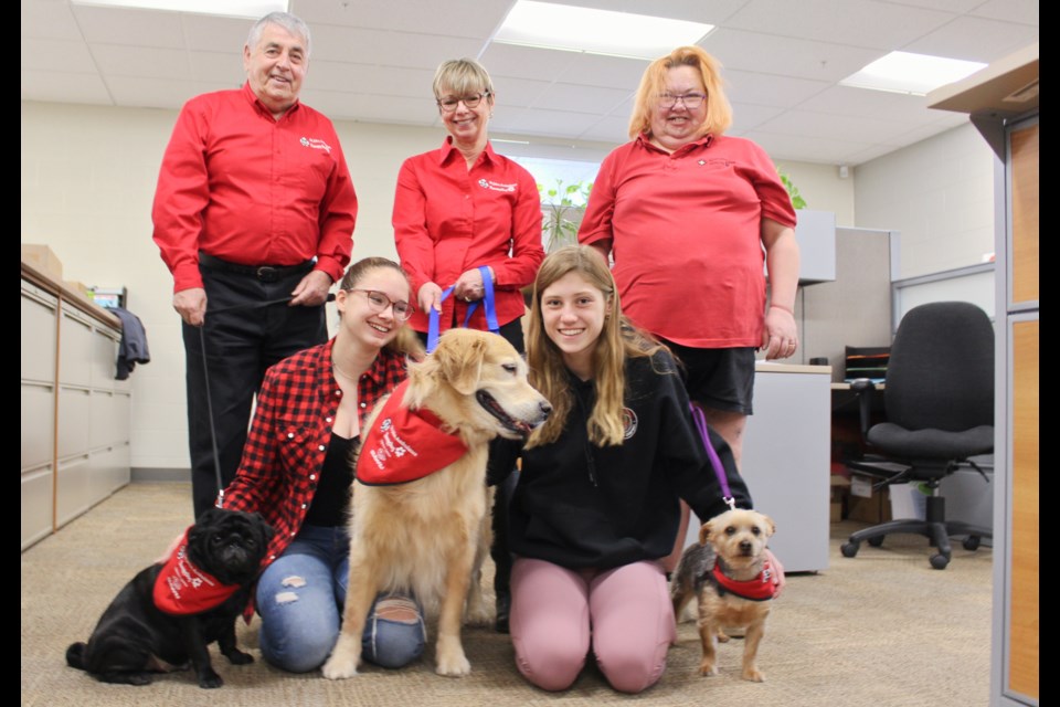 Orillia Secondary School students MJ Préfontaine, left, and Chloe Smith arranged to have St. John Ambulance therapy dogs at the school Thursday. Among them were Buster, left, with handler Bob Johnson, Sloan, centre, with handler Joan Whitman, and Jack, with handler Ronda Forsyth. Nathan Taylor/OrilliaMatters