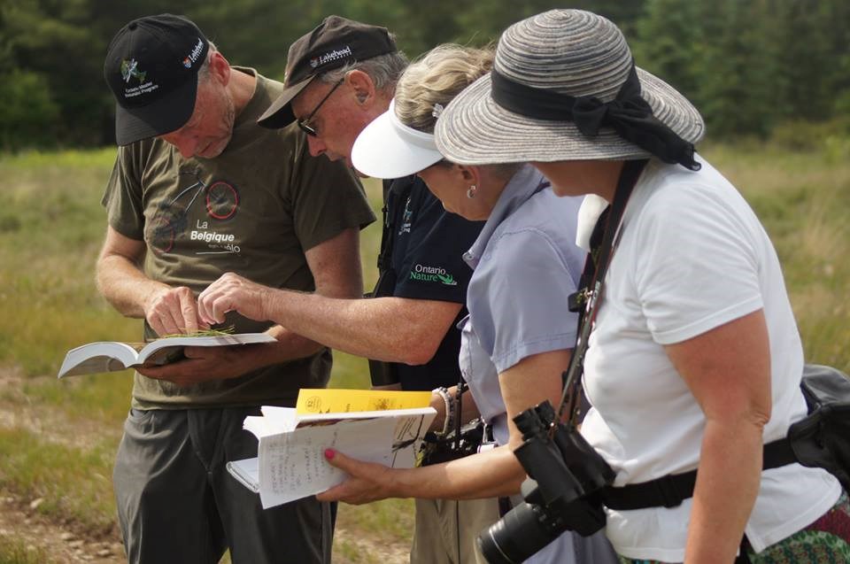 Bob Bowles, second from left, helps students in the Ontario Master Naturalist course. Registration is now open for the spring course. 