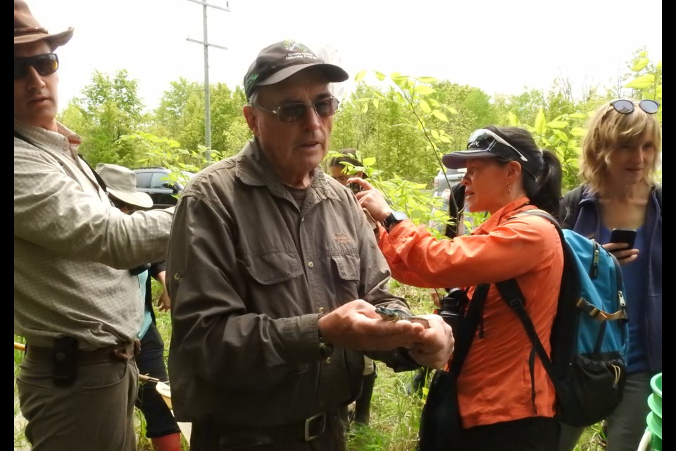 Bob Bowles explains some features about a frog to students in his master naturalist program. Bowles and nature artist Teresa Patcheson will be offering a nature journaling workshop through Lakehead University's master naturalist program. OrilliaMatters File Photo