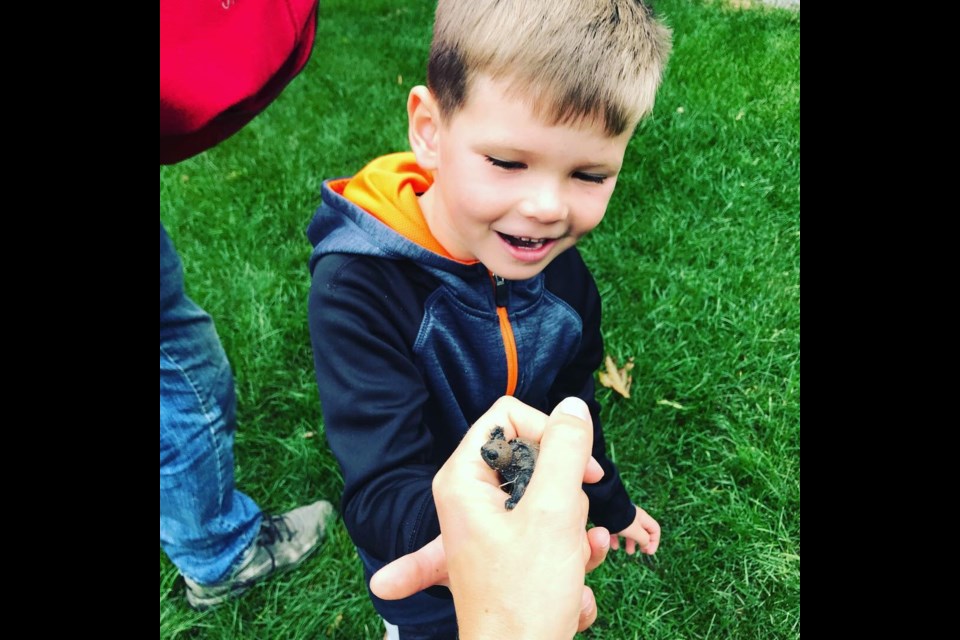 Luke and Owen Preston were mesmerized to see the baby turtles that were born in their yeard.