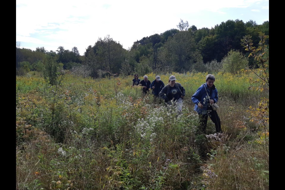  A group visits the Pitts & Milligan property in the fall. Photo by Tanya Clark.