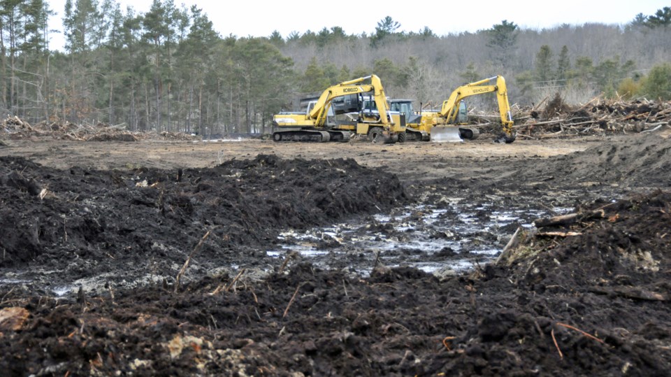 2020-12-12 environmental destruction David Hawke