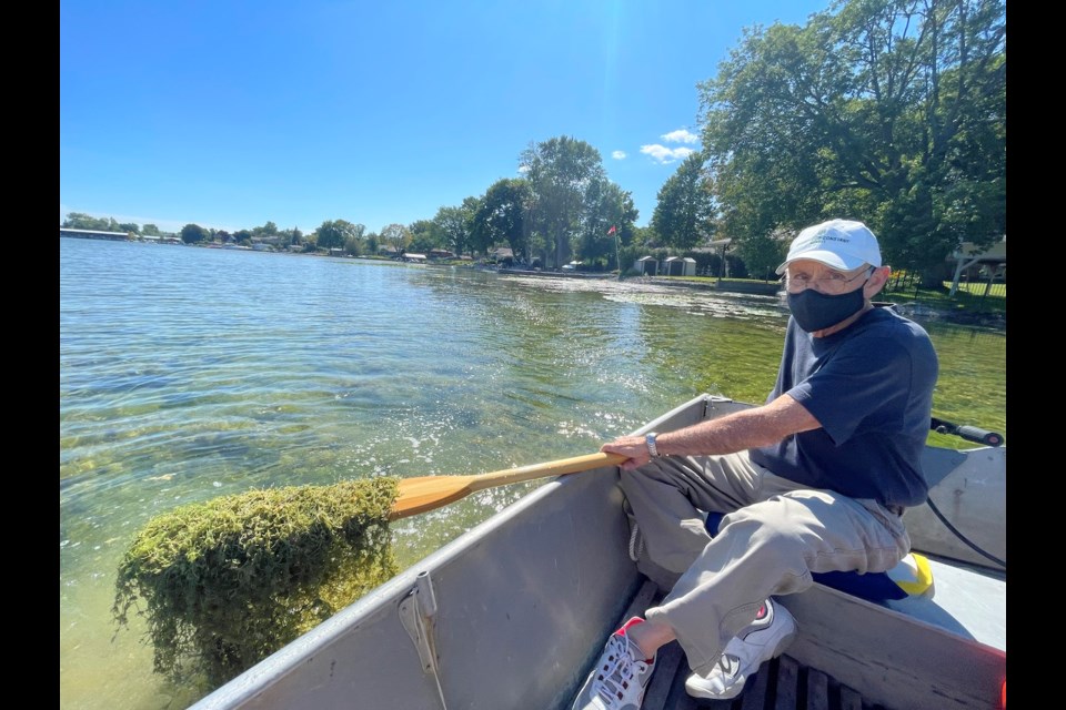 Couchiching Point resident Len Thomas says the upper end of Lake Couchiching has been taken over by an invasive species called Starry Stonewort. 