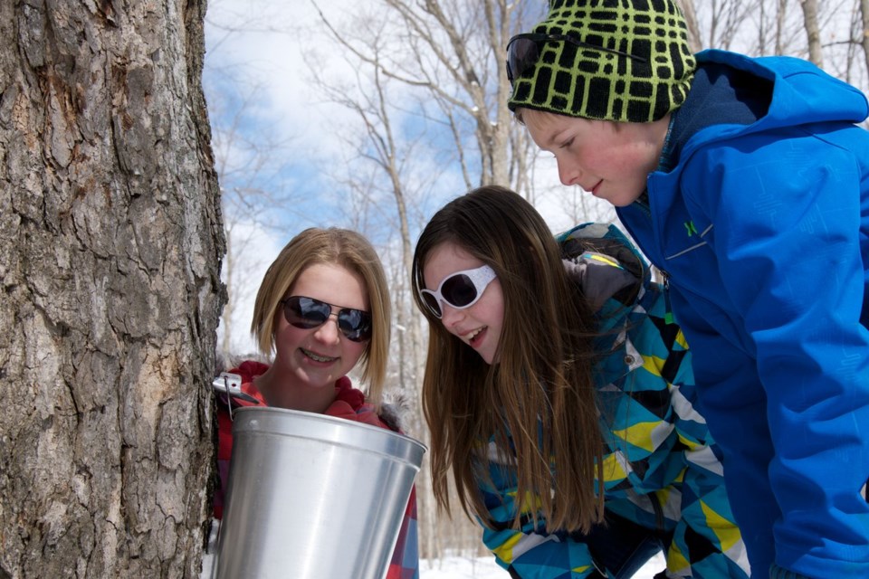 Get out and experience all things maple during Tap Into Maple! Visit local maple producers to see how
Canada’s sweetest treat is made, from tapping to boiling to serving.
