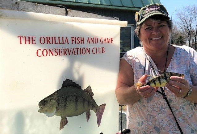 Debbie McGrady, of Midland, caught the first tagged perch on day 18 of this year’s Orillia Perch Festival. The tag was worth $500. Contributed photo