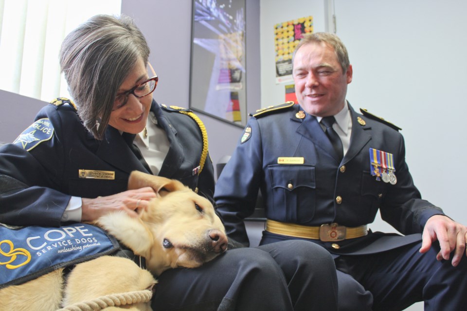 Barrie Police Chief Kimberley Greenwood gets some snuggle time in with service dog Moose, while OPP Deputy Commissioner Rick Barnum waits for his turn. Nathan Taylor/OrilliaMatters
