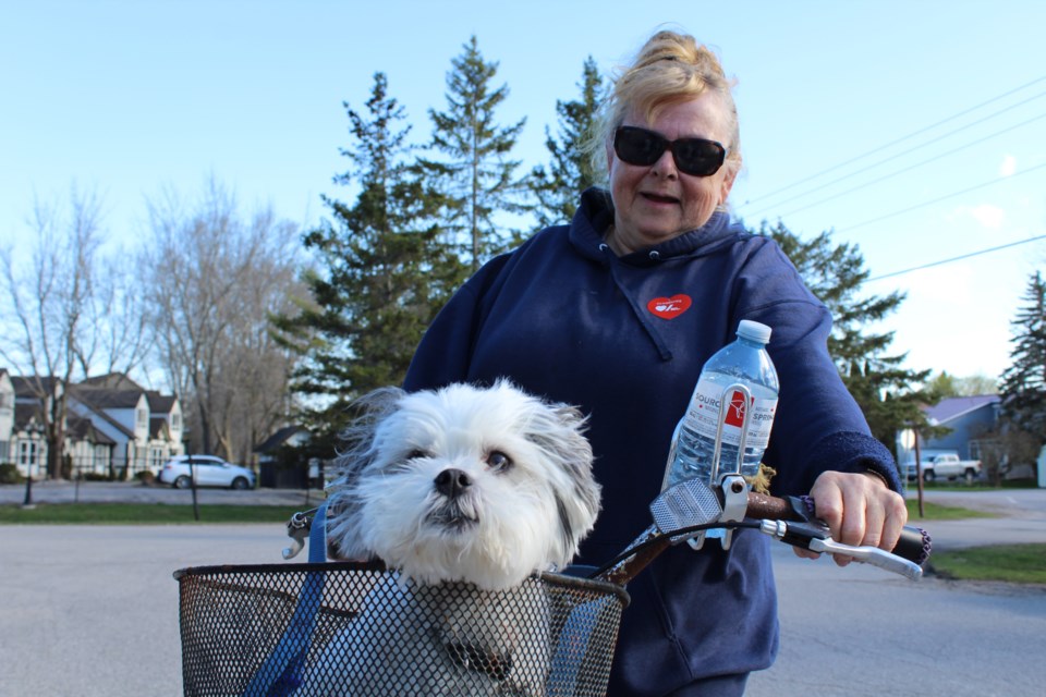 Marg Pedersen brought her dog, Percy, along for the ride Wednesday as the Ramara Chamber of Commerce hosted a Bigger, Better Bike Ride. Nathan Taylor/OrilliaMatters