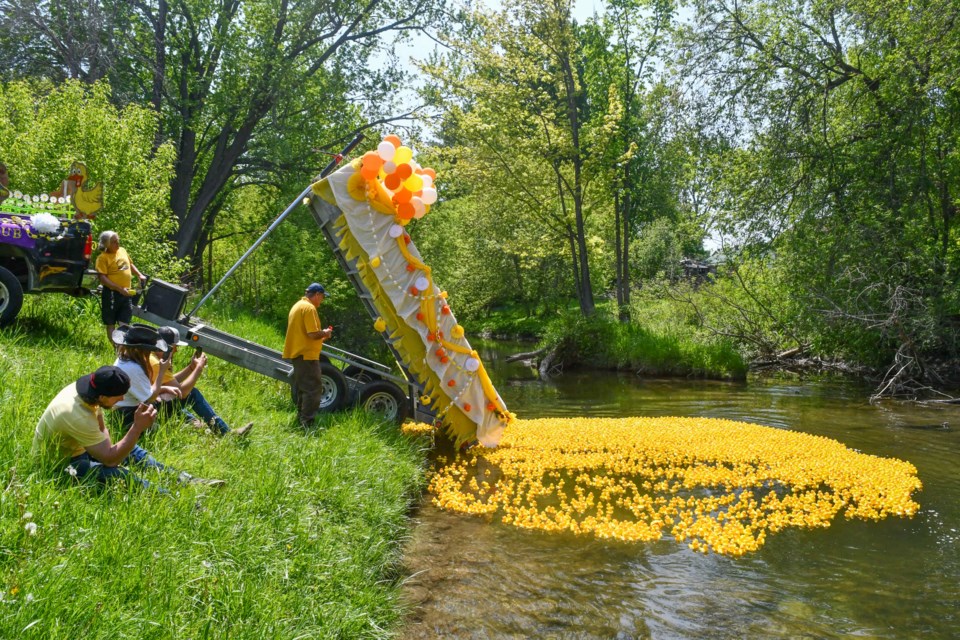 The Coldwater Duck Race took place Saturday.