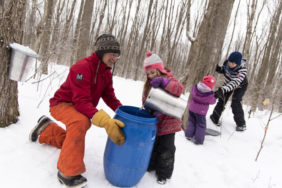 Get out and experience all things maple during Tap Into Maple. Visit local maple producers to see how
Canada’s sweetest treat is made, from tapping to boiling to serving.