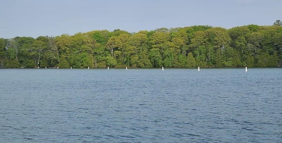 buoys on chief island