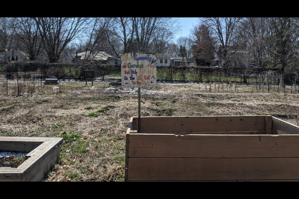 Did you know Orillia is home to community gardens? This one is located in a small park just off High Street. Dave Dawson/OrilliaMatters