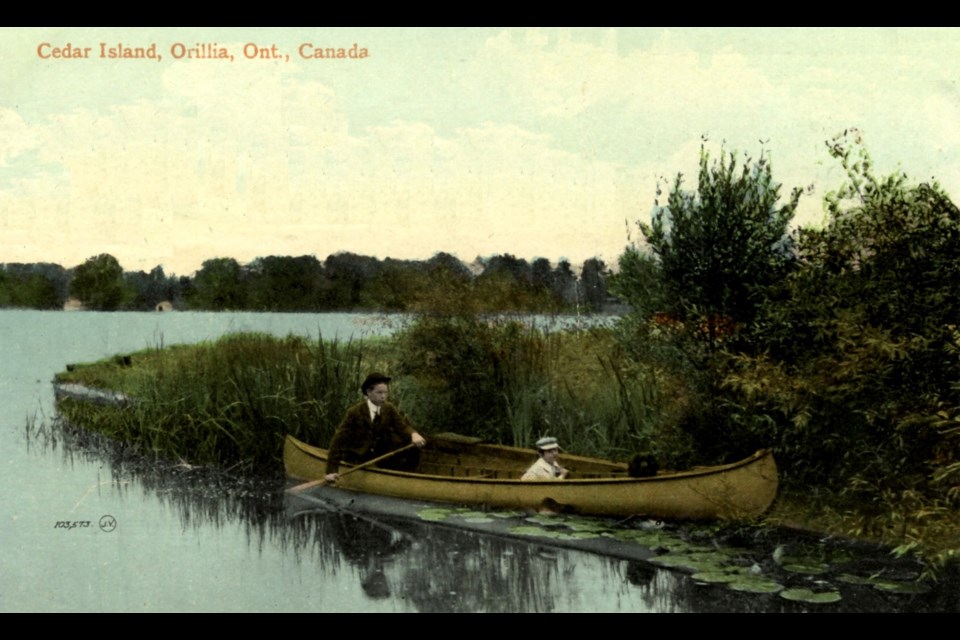 A man, a young boy and their dog are shown in a canoe among the rushes in this postcard featuring Cedar Island circa 1910.