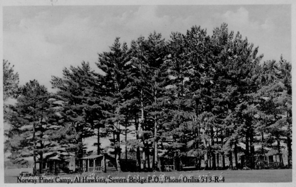 161 Norway Pines Al Hawkins c1940