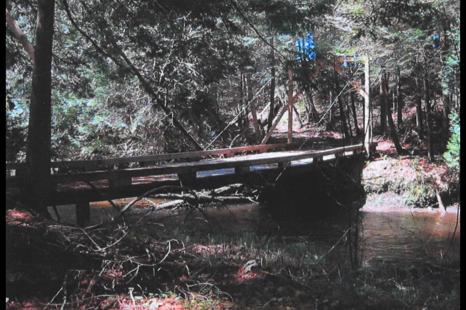 This bridge was built over a watercourse separating Tom Rennie's and a neighbour's property in Moonstone.