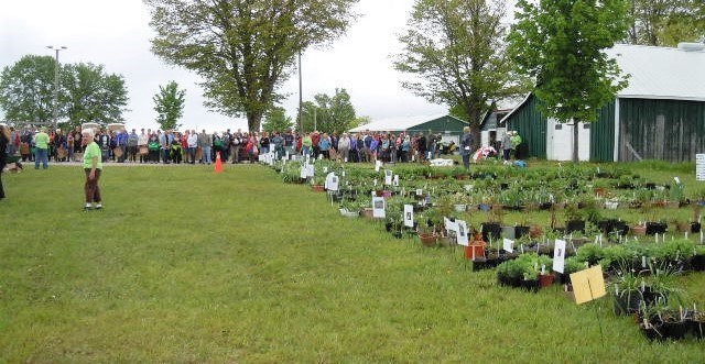 The Oro Horticultural Society's popular Plant Sale occurs May 26. 