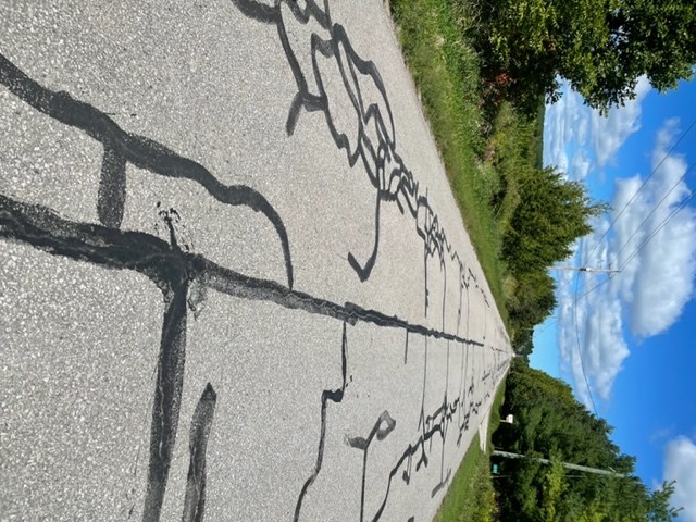 The state of many of Oro-Medonte's road leave much to be desired, says a local resident. This is a shot of Line 8 North.