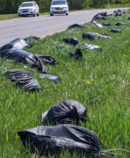 About 60 bags of garbage were recently dumped on a rural road in Oro-Medonte Township.