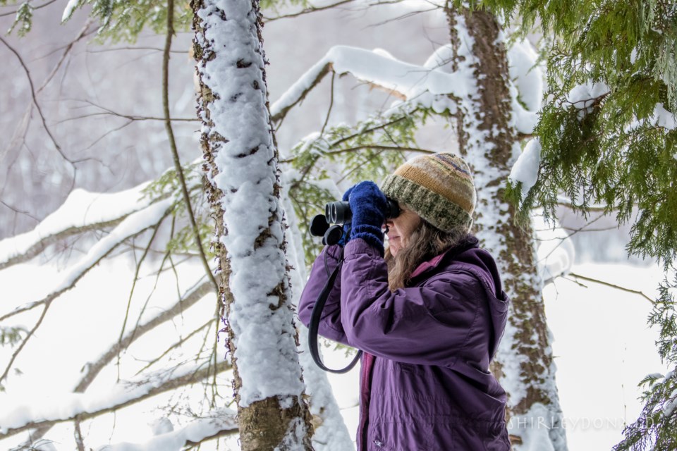 The Orillia Naturalists Club will be participating in their annual Christmas Bird Count Dec. 14. Contributed photo