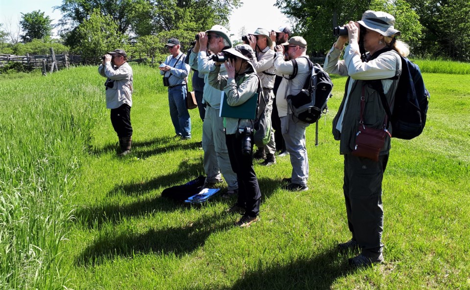 2018-05-13 Carden Bird Blitz.jpg