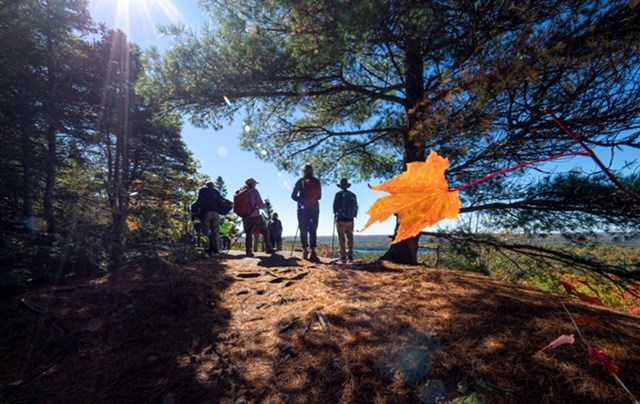 Hikers from four different chapters of the Ganaraska Hiking Club enjoyed a 10-5 kilometre hike of the Centennial Ridges Trail at Algonquin Park earlier this week.