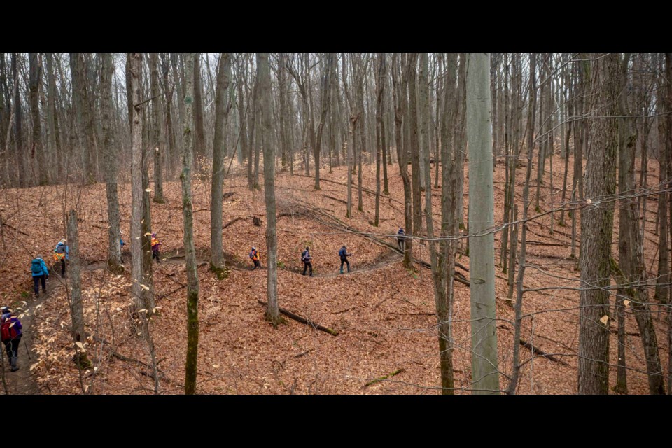 Hikers from the Orillia and Barrie chapters of the Ganaraska Hiking Club are shown meandering their way through the Copeland Forest 
