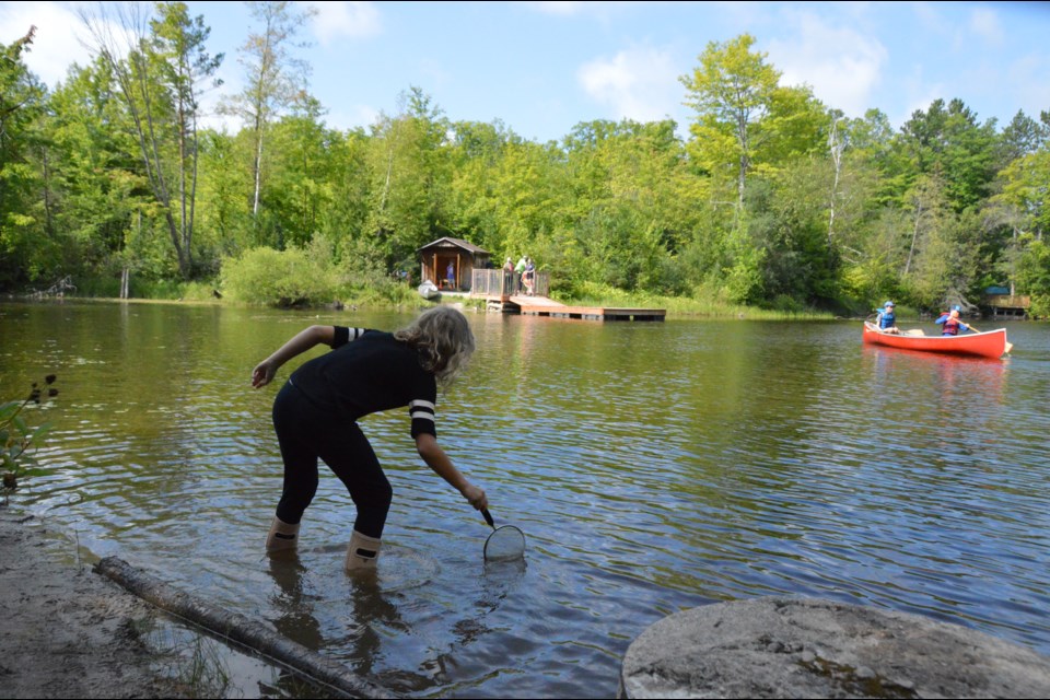 A child looks for bugs to learn about life in the pond.