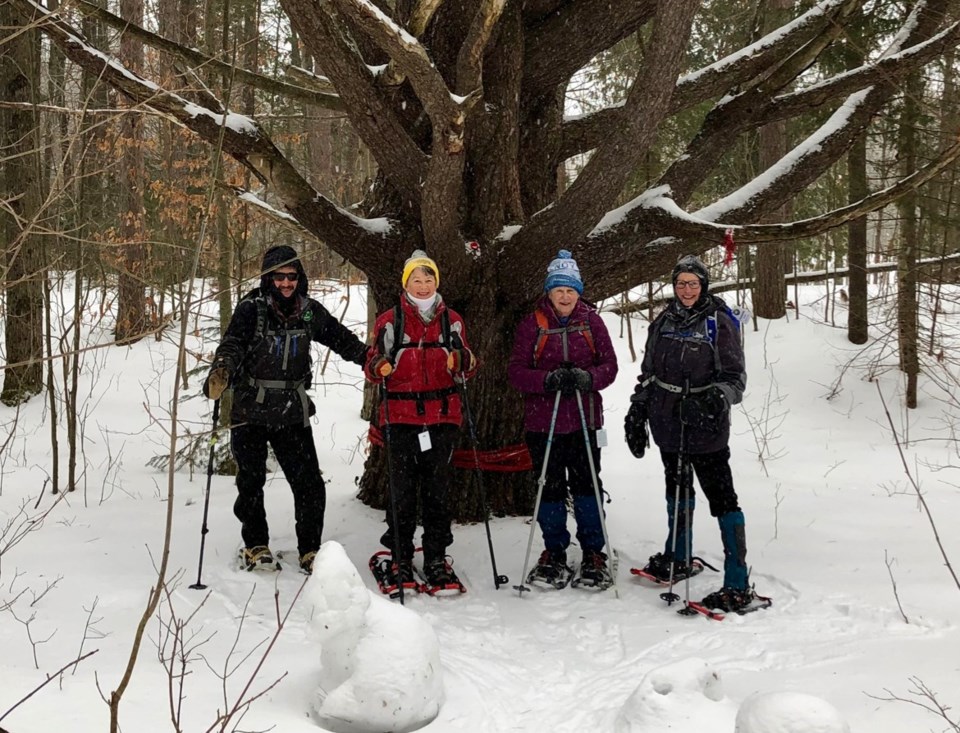 4 hikers at _the tree_ in Slessor Tract