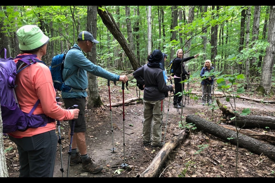 Members of the Ganaraska Hiking Club are shown on their recent 9.5-kilometre hike to the local Simcoe County Forest in Oro-Medonte.