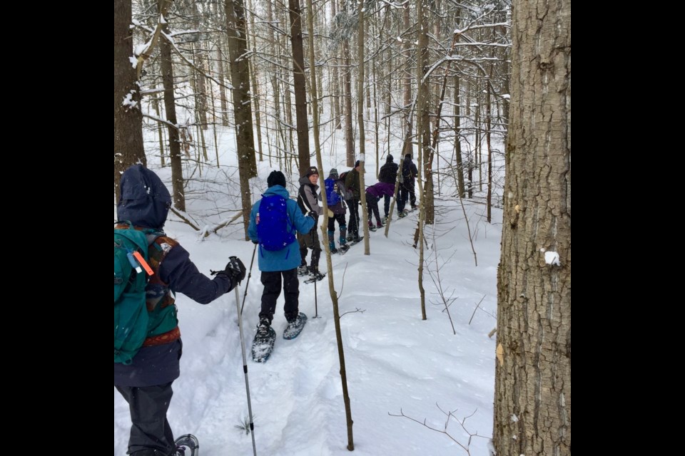 Members of the Orillia chapter of the Ganaraska Hiking Club make their way through the Simcoe County Forest. Contributed photo