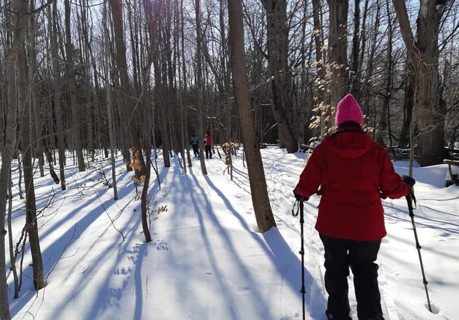 Members of the Orillia Naturalists' Club enjoyed a winter outing in Oro-Medonte Township this weekend. Contributed photo