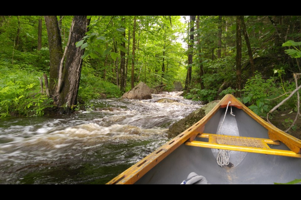 Canoeing the Black River