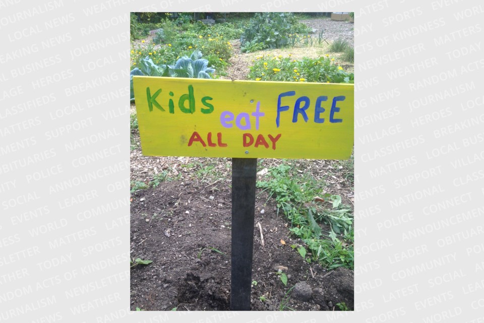 20230325communitygardens