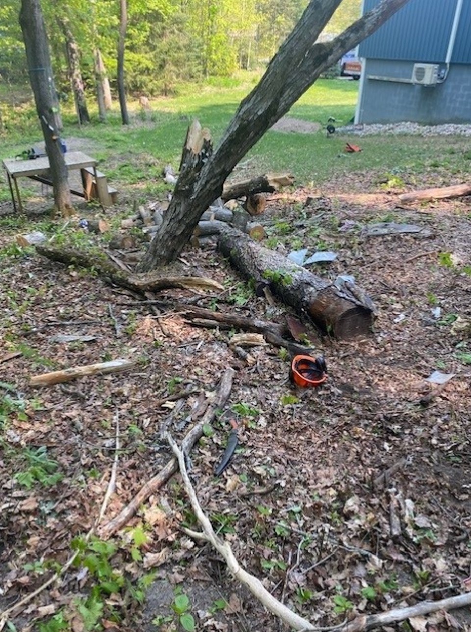 20230517-oro-medonte-arborist-fatality