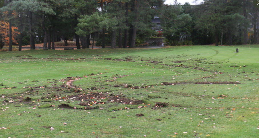 damage at lake st george golf club