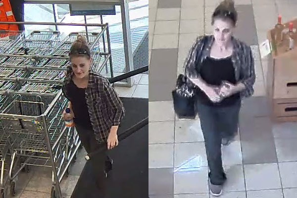 2018-06-15 Severn Township theft suspect