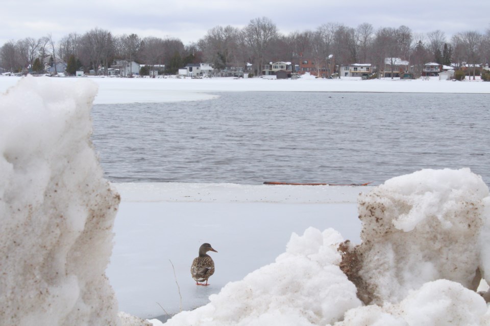 2018-04-18 Perch Fest Ice