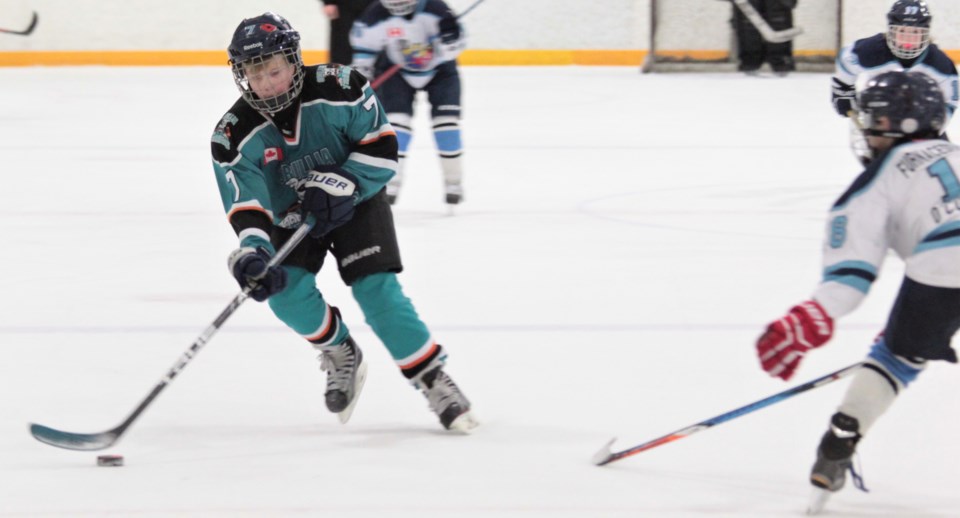 2018-02-28 terrier m peewees lose to colts.jpg