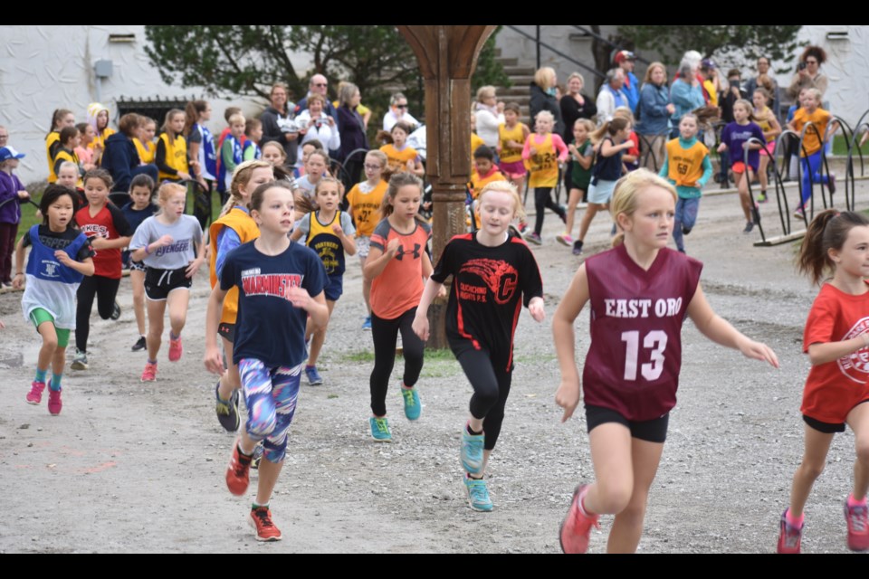 More than 100 students competed in the Grade 4 girls race at Thursday’s Area 2 Cross-Country Running championship at Mount St. Louis. Dave Dawson/OrilliaMatters