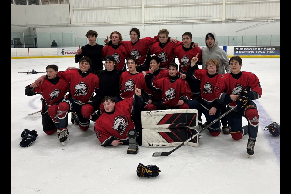 The U18 AA (2005) Team 2 Ice Dogs, sponsored by John Eplett, kicked off the season by winning the Toronto Spring Showdown tournament.