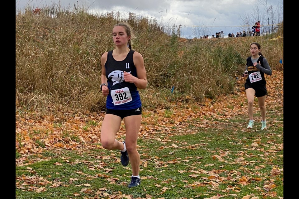 Cross-country runners from Twin Lakes Secondary School will compete at the OFSAA championship this weekend.