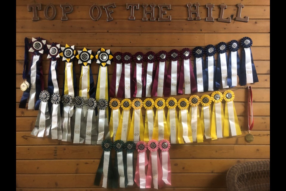 Wall of Ribbons from Jack Pine Horse Show. Photo provided