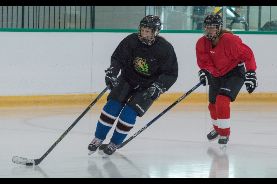 Smiles can often be seen on the faces of those who participate in the long-running, popular women's drop-in hockey program at Orillia's Rotary Place. Tyler Evans/OrilliaMatters