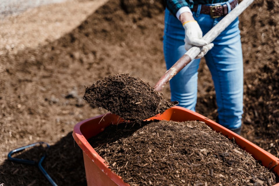 20240435-compost-pexels-greta-hoffman